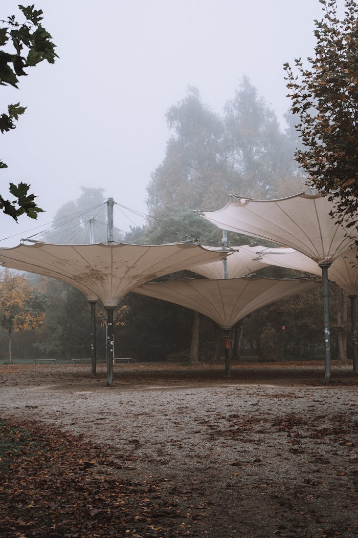 our-services-1 Foggy morning at an outdoor venue with artistic canopy structures surrounded by autumn trees.