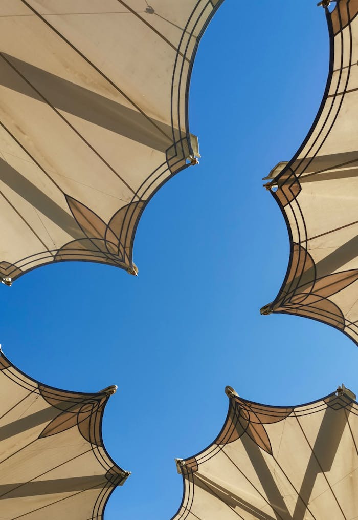 Modern canopy architecture with geometric patterns framing a clear blue sky, showcasing urban design.