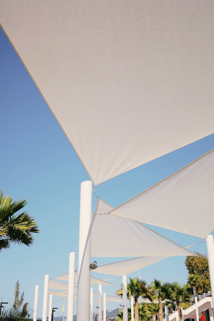 gallery-2 Stylish outdoor sunshades under a clear blue sky with palm trees.